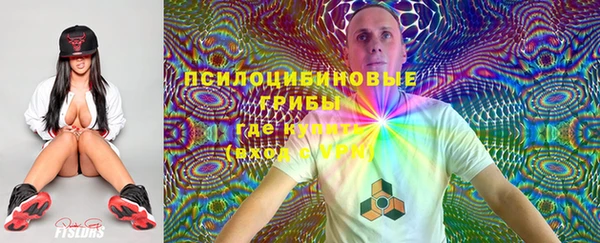 гидропоника Анива