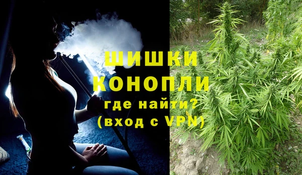 тгк Верея